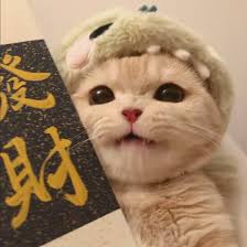 Ảnh đại diện Trần Thị B